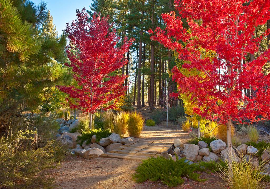 PF_Fall_Path