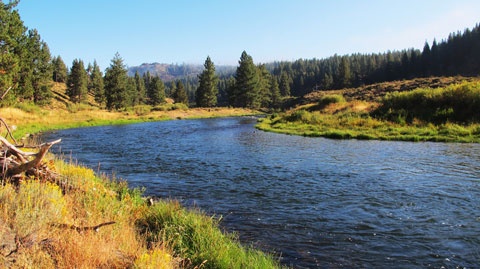 truckee