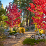 Views of Walking Park