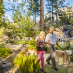 ParcForetLifestyle_WalkingPath