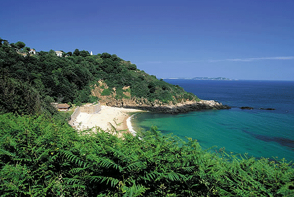guernsey taxes tax friendly guernsey2