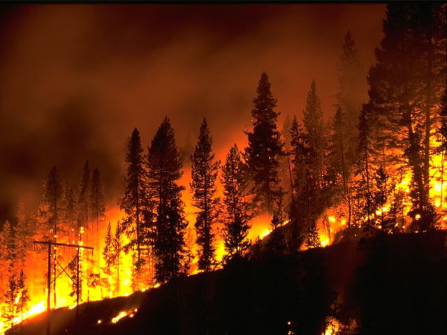 wildfire fire wildfire 1