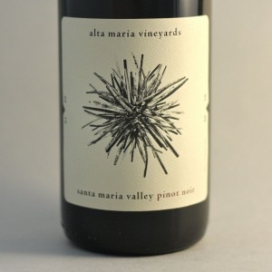 pinot2