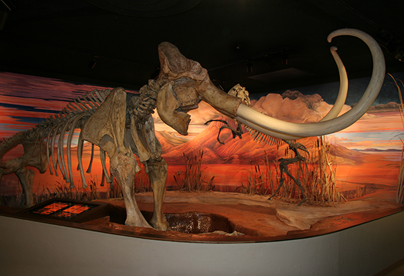 mammoth