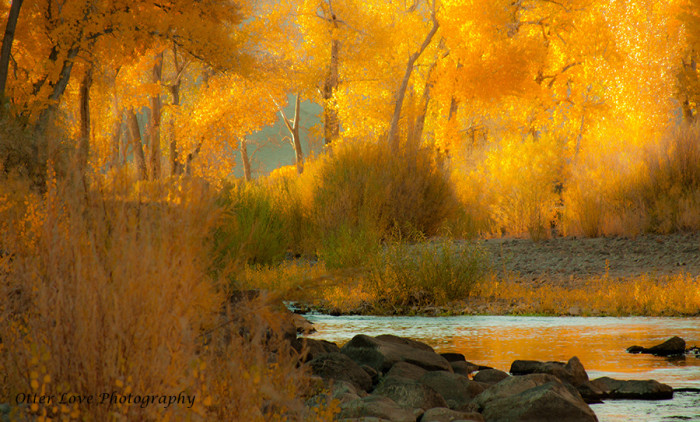 carson river