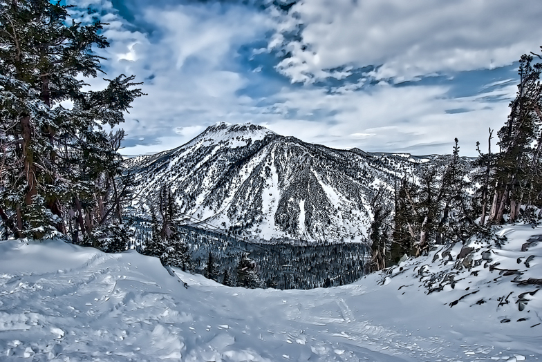 mount rose