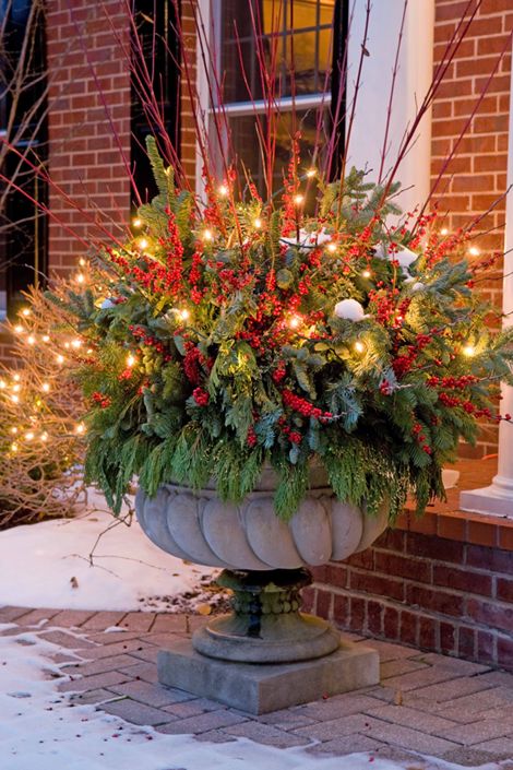 planter4