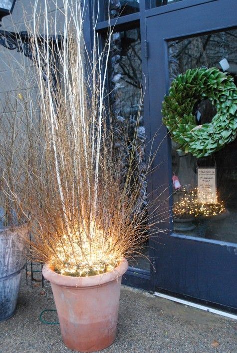 planter5