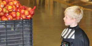 apples