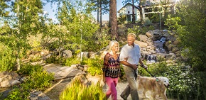 ParcForetLifestyle_WalkingPath - sm